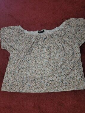 Lane Bryant Size 22 24 Off The Shoulder Top